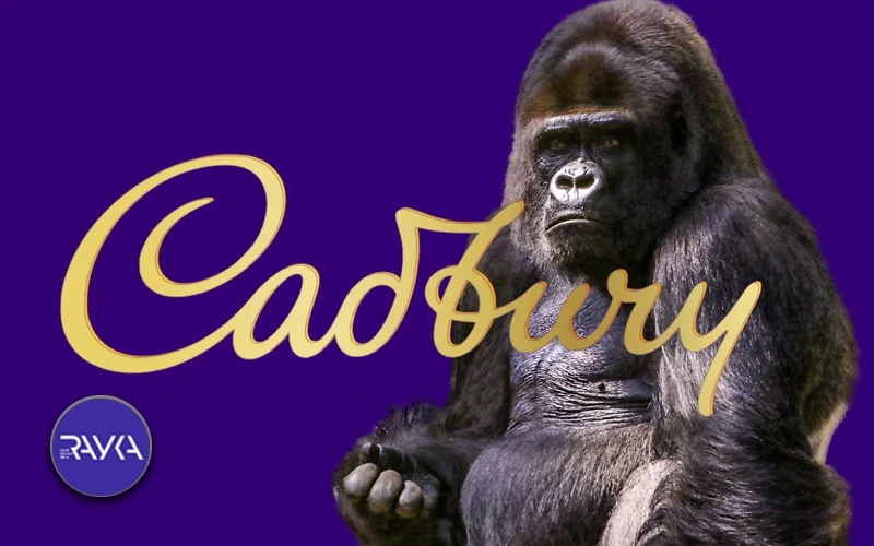تیزر تبلیغاتی Cadbury، Gorilla خلاق و سرگرم‌ کننده